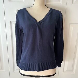 Everlane Deep Blue V-Neck Sweater